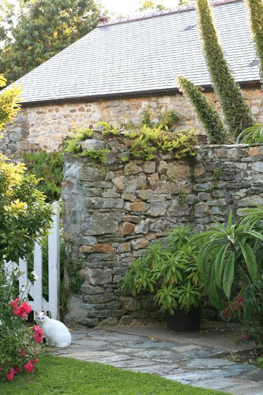 Le Manoir De La Fieffe Acomodação com café da manhã Cherbourg-en-Cotentin Exterior foto